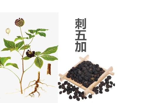 initpintu_副本.jpg